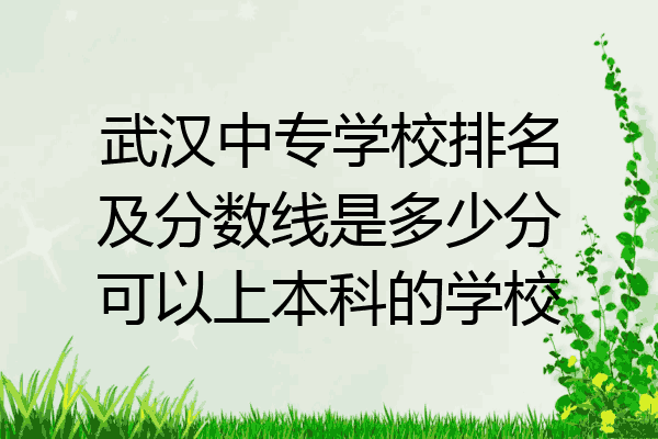 武汉中专学校排名及分数线是多少分可以上本科的学校