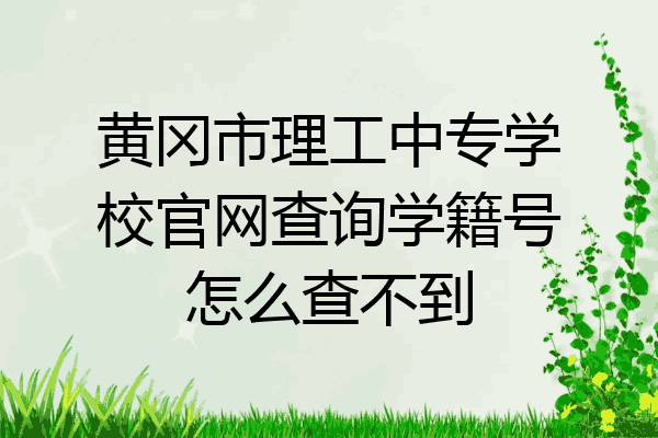 黄冈市理工中专学校官网查询学籍号怎么查不到