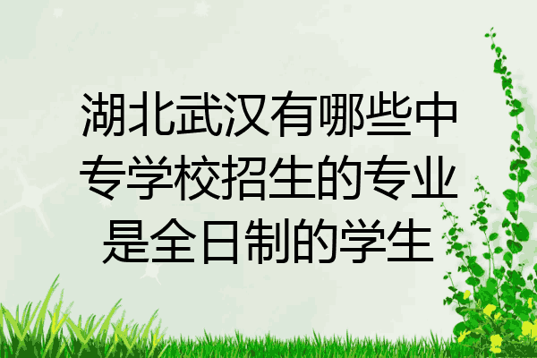 湖北武汉有哪些中专学校招生的专业是全日制的学生