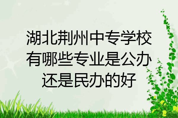 湖北荆州中专学校有哪些专业是公办还是民办的好