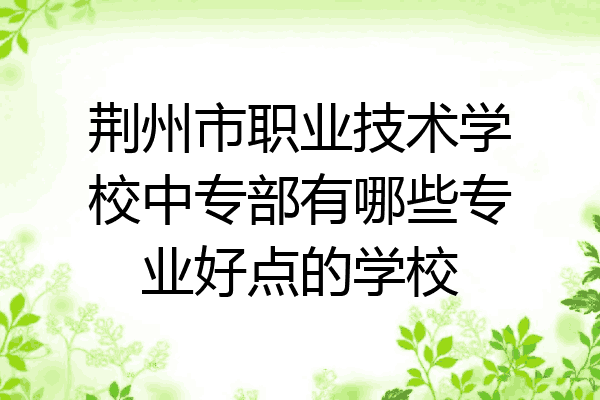 荆州市职业技术学校中专部有哪些专业好点的学校