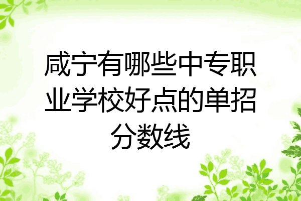 咸宁有哪些中专职业学校好点的单招分数线