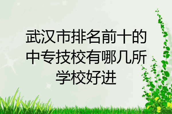 武汉市排名前十的中专技校有哪几所学校好进