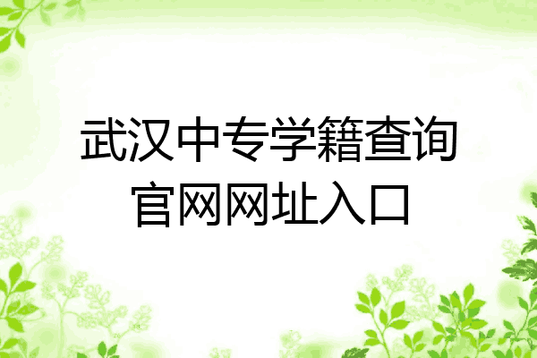 武汉中专学籍查询官网网址入口