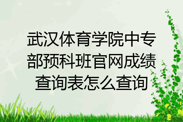 武汉体育学院中专部预科班官网成绩查询表怎么查询