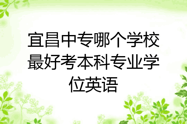宜昌中专哪个学校最好考本科专业学位英语