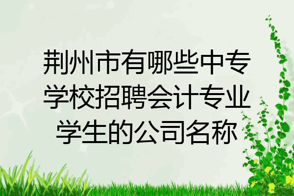 荆州市有哪些中专学校招聘会计专业学生的公司名称