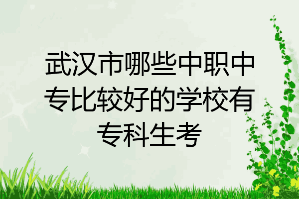 武汉市哪些中职中专比较好的学校有专科生考
