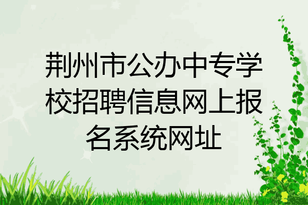 荆州市公办中专学校招聘信息网上报名系统网址