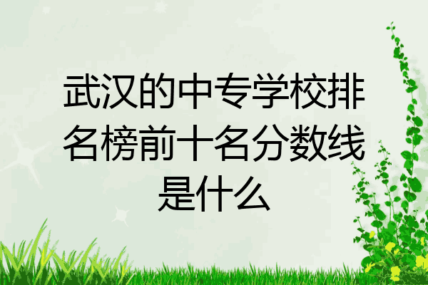 武汉的中专学校排名榜前十名分数线是什么