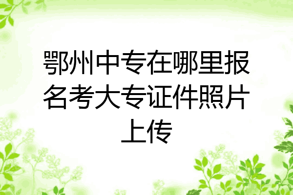 鄂州中专在哪里报名考大专证件照片上传