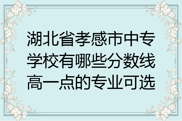 湖北省孝感市中专学校有哪些分数线高一点的专业可选