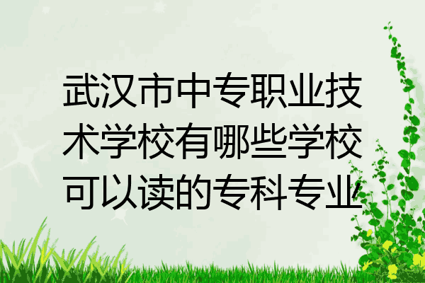武汉市中专职业技术学校有哪些学校可以读的专科专业