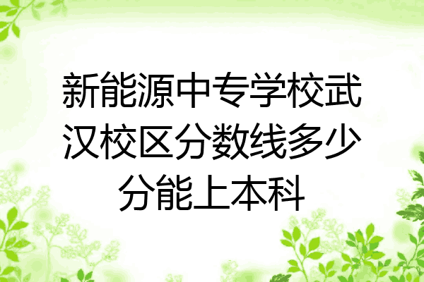 新能源中专学校武汉校区分数线多少分能上本科