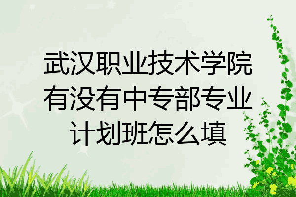 武汉职业技术学院有没有中专部专业计划班怎么填