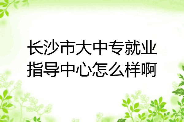 长沙市大中专就业指导中心怎么样啊
