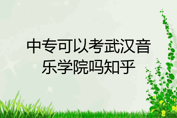 中专可以考武汉音乐学院吗知乎