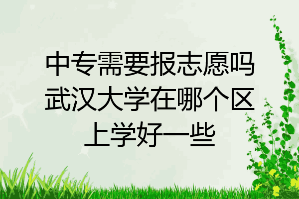 中专需要报志愿吗武汉大学在哪个区上学好一些