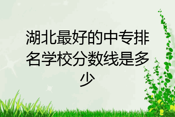 湖北最好的中专排名学校分数线是多少