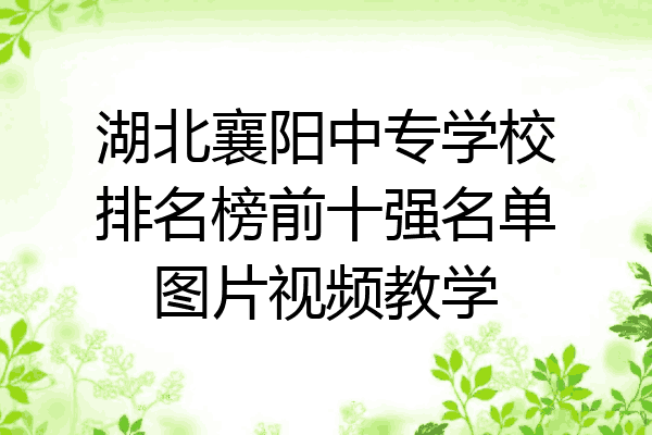 湖北襄阳中专学校排名榜前十强名单图片视频教学