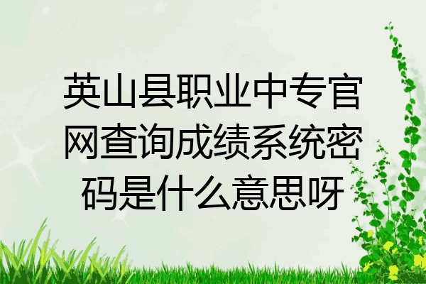 英山县职业中专官网查询成绩系统密码是什么意思呀