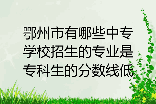 鄂州市有哪些中专学校招生的专业是专科生的分数线低