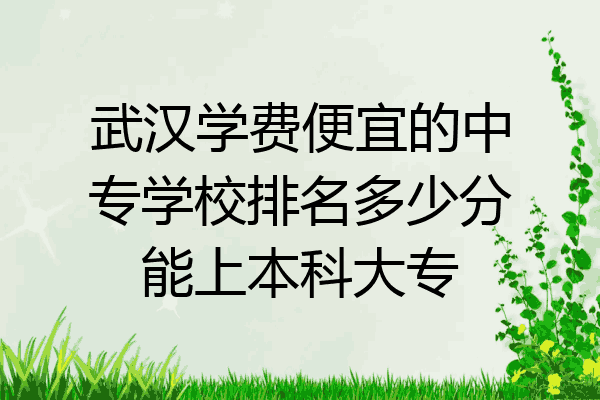 武汉学费便宜的中专学校排名多少分能上本科大专