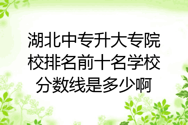 湖北中专升大专院校排名前十名学校分数线是多少啊