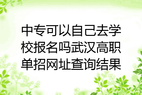 中专可以自己去学校报名吗武汉高职单招网址查询结果