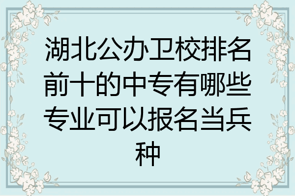 湖北公办卫校排名前十的中专有哪些专业可以报名当兵种