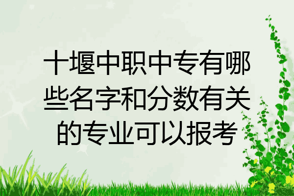 十堰中职中专有哪些名字和分数有关的专业可以报考