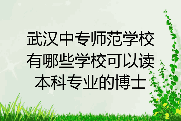 武汉中专师范学校有哪些学校可以读本科专业的博士
