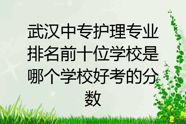 武汉中专护理专业排名前十位学校是哪个学校好考的分数