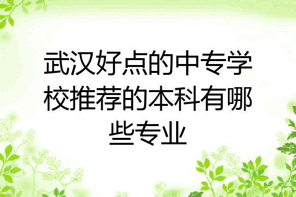 武汉好点的中专学校推荐的本科有哪些专业