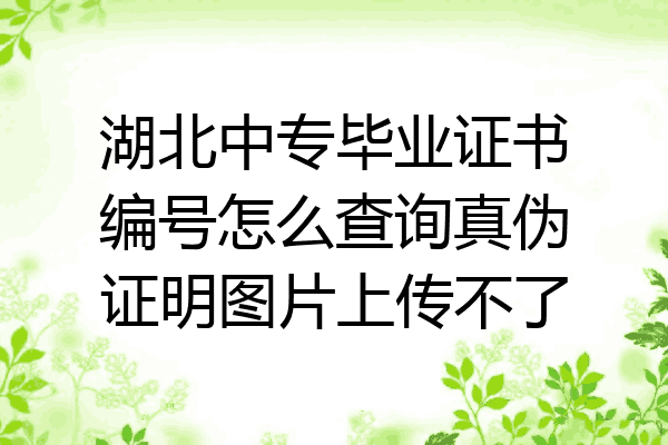 湖北中专毕业证书编号怎么查询真伪证明图片上传不了