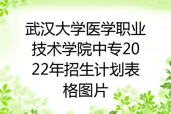 武汉大学医学职业技术学院中专2022年招生计划表格图片