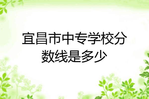 宜昌市中专学校分数线是多少