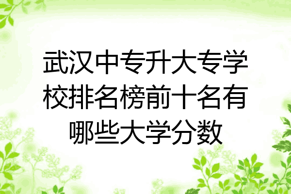 武汉中专升大专学校排名榜前十名有哪些大学分数