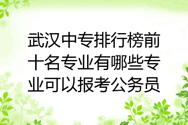 武汉中专排行榜前十名专业有哪些专业可以报考公务员
