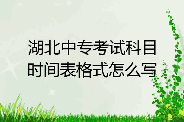 湖北中专考试科目时间表格式怎么写