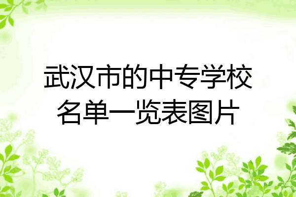 武汉市的中专学校名单一览表图片