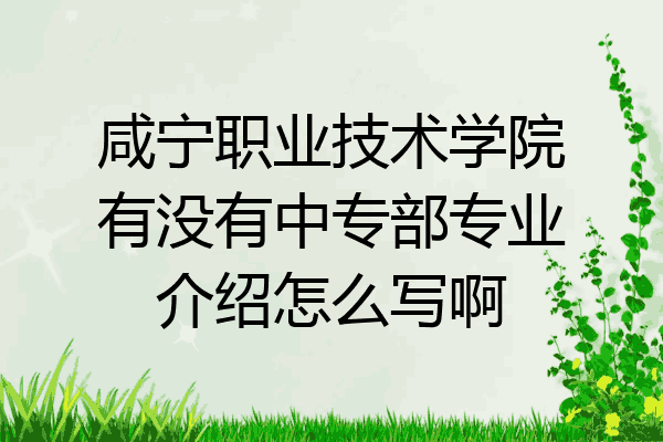 咸宁职业技术学院有没有中专部专业介绍怎么写啊