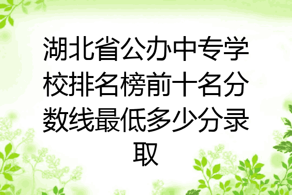 湖北省公办中专学校排名榜前十名分数线最低多少分录取