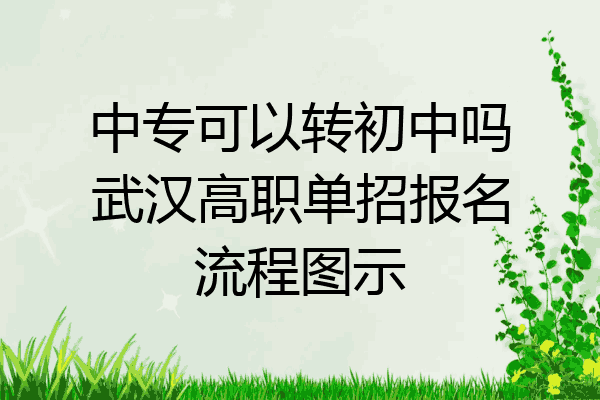 中专可以转初中吗武汉高职单招报名流程图示