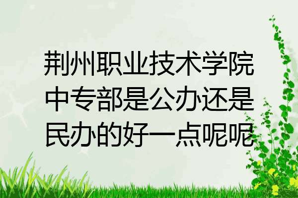 荆州职业技术学院中专部是公办还是民办的好一点呢呢