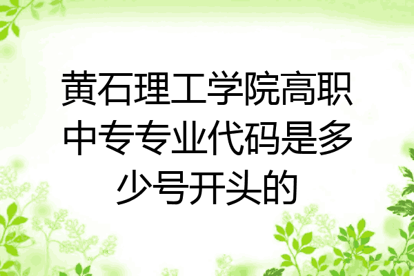 黄石理工学院高职中专专业代码是多少号开头的