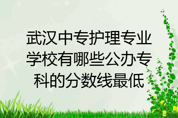 武汉中专护理专业学校有哪些公办专科的分数线最低