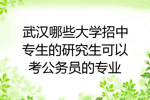 武汉哪些大学招中专生的研究生可以考公务员的专业