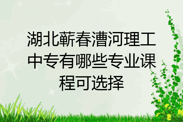 湖北蕲春漕河理工中专有哪些专业课程可选择