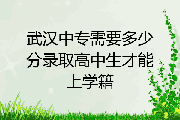 武汉中专需要多少分录取高中生才能上学籍